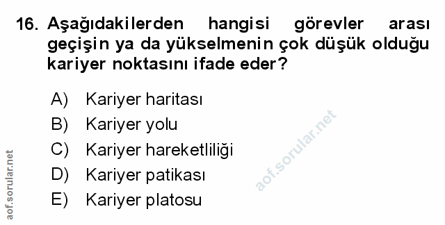 Soru 16