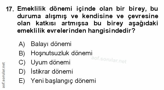 Soru 17