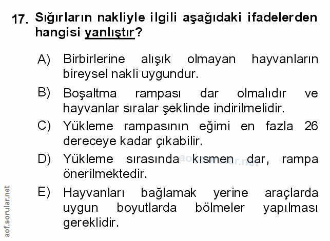 Soru 17