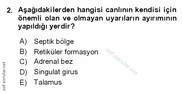 Soru 2