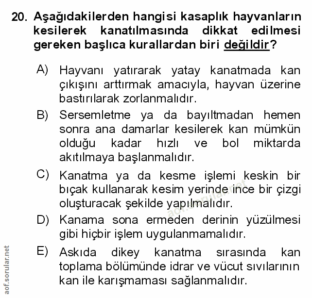 Soru 20
