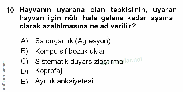 Soru 10