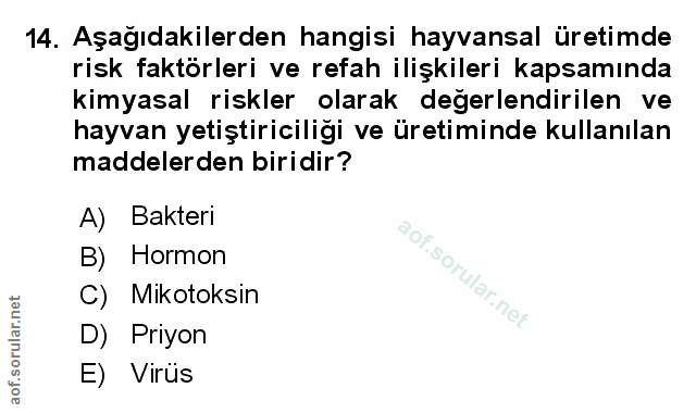 Soru 14