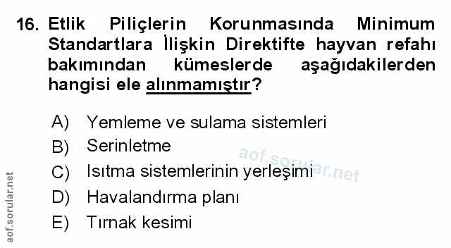 Soru 16