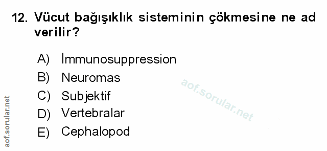 Soru 12