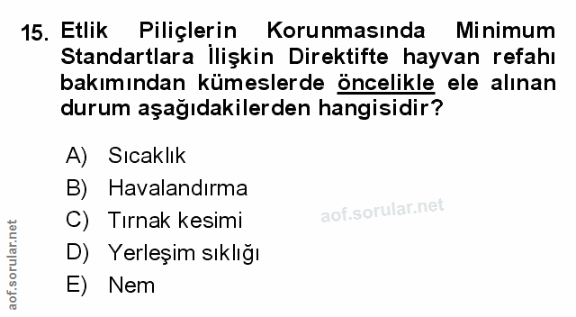 Soru 15