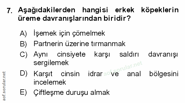 Soru 7