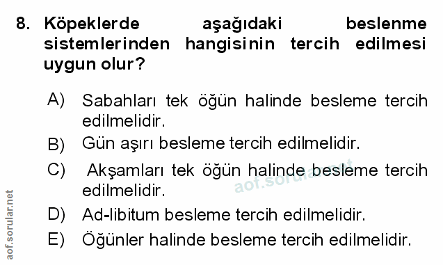 Soru 8