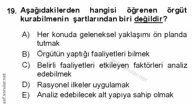 Soru 19