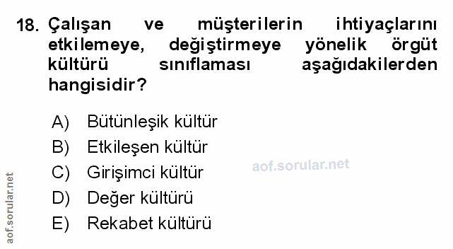 Soru 18