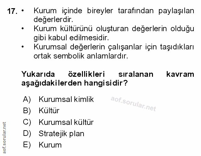 Soru 17