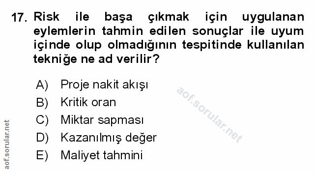 Soru 17