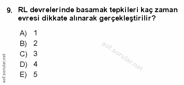 Soru 9
