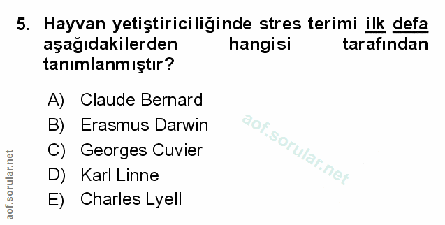 Soru 5