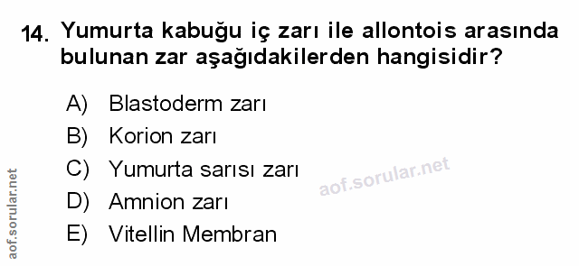 Soru 14