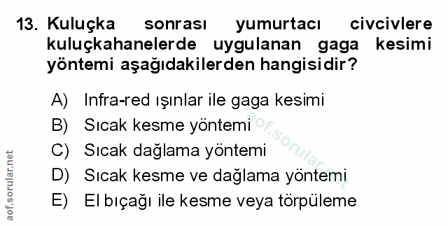 Soru 13