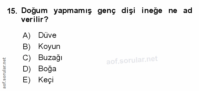 Soru 15