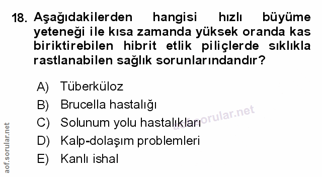 Soru 18