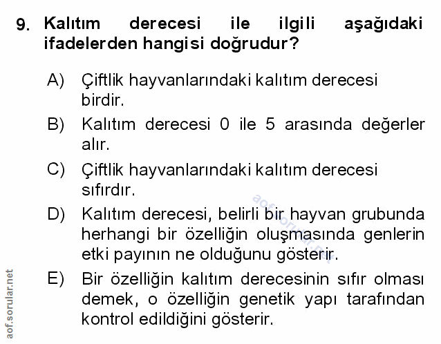 Soru 9