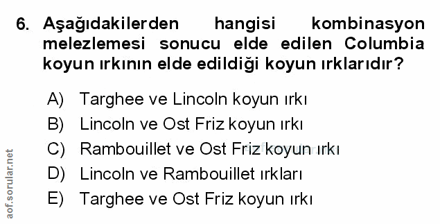 Soru 6