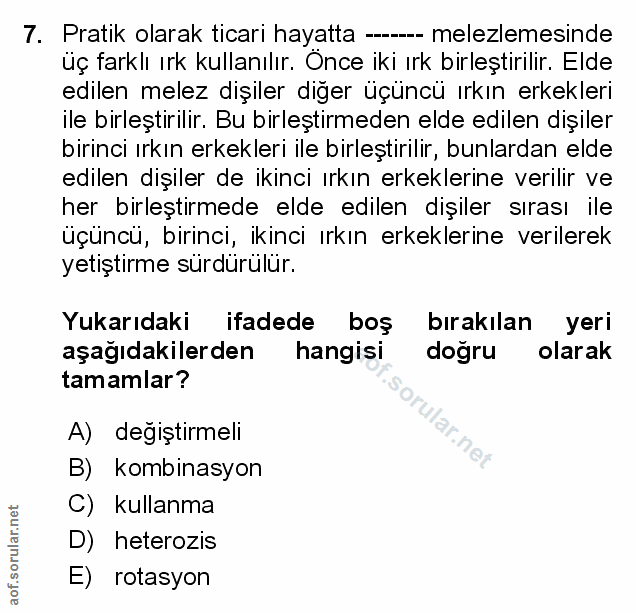 Soru 7