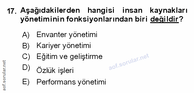 Soru 17