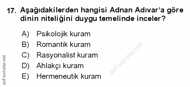 Soru 17