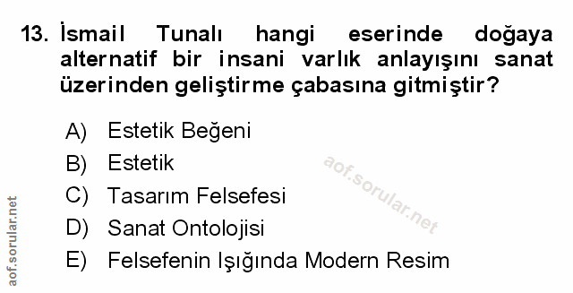 Soru 13