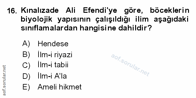 Soru 16