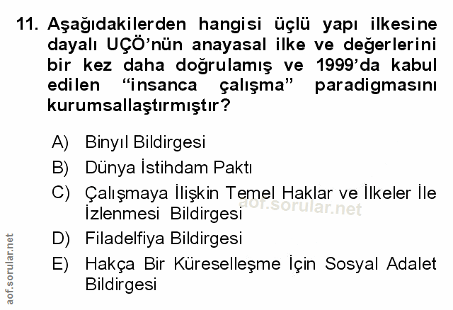 Soru 11