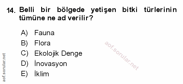 Soru 14