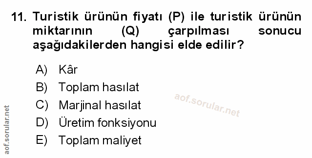 Soru 11