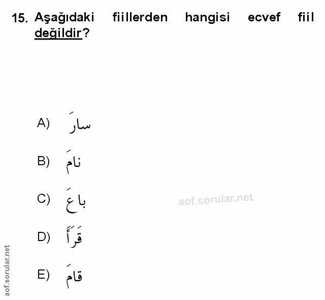 Soru 15