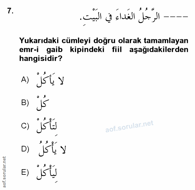 Soru 7