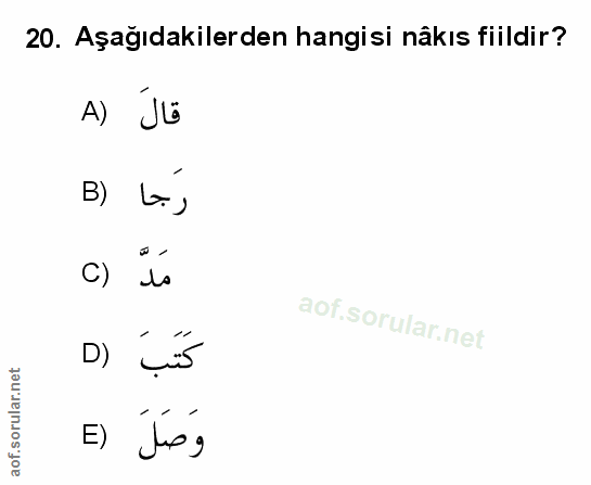Soru 20