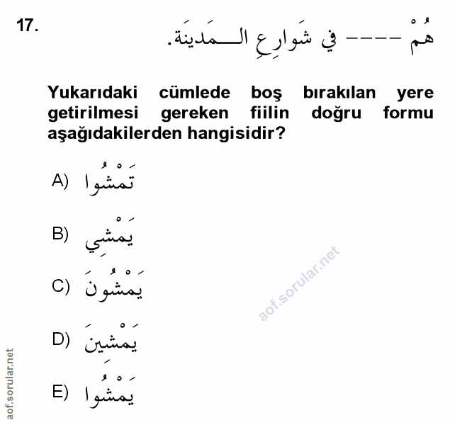 Soru 17