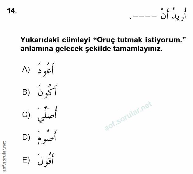 Soru 14