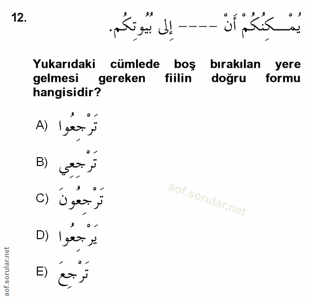 Soru 12