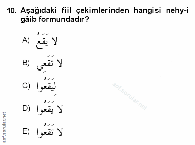 Soru 10