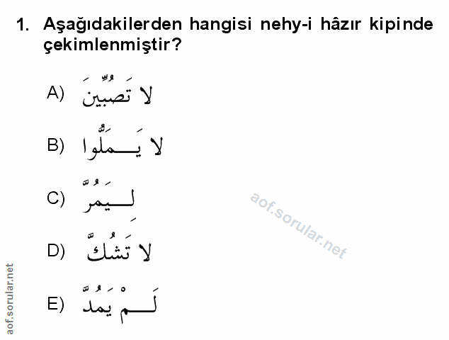 Soru 1
