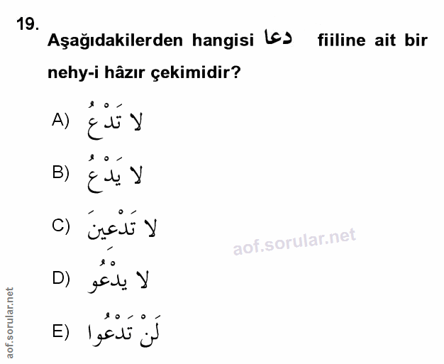 Soru 19