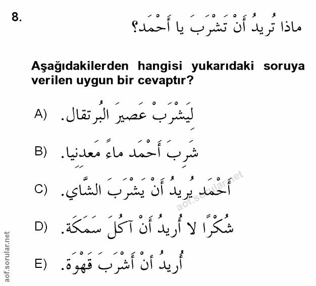 Soru 8