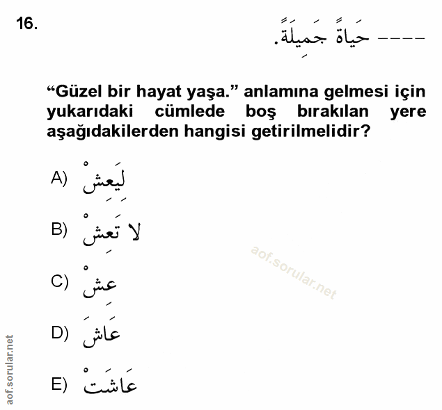 Soru 16