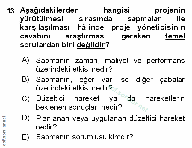 Soru 13