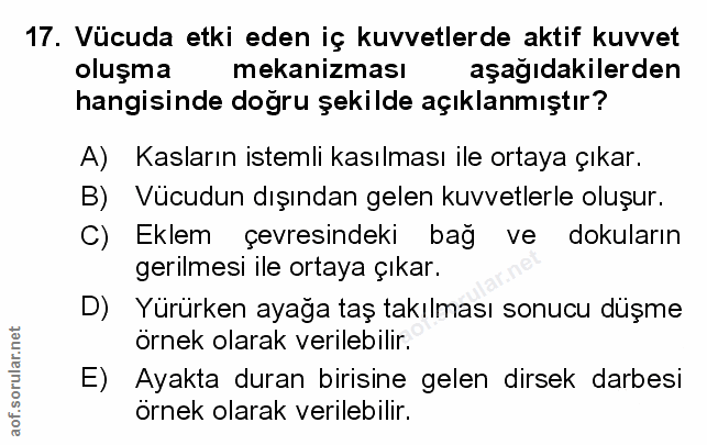 Soru 17