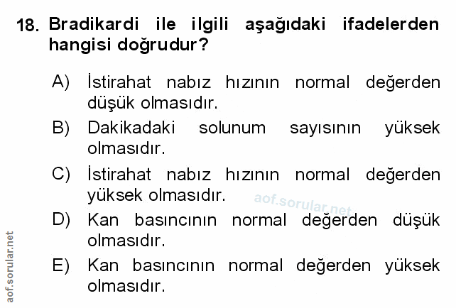 Soru 18