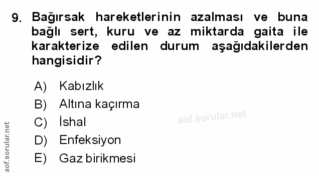 Soru 9