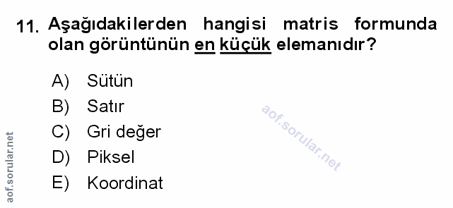 Soru 11