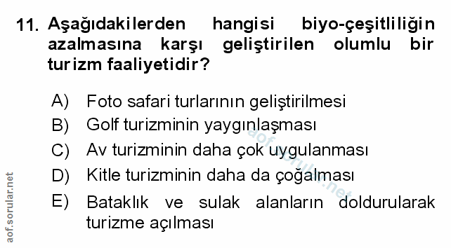 Soru 11