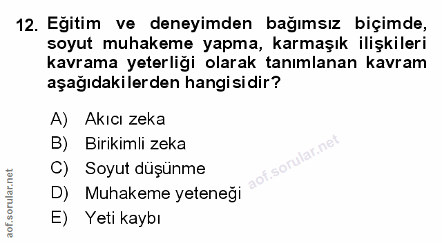 Soru 12